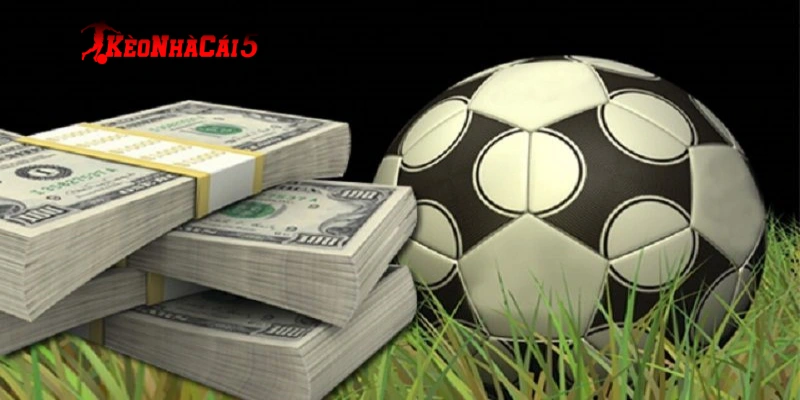 Đánh giá dựa trên thực lực và tình hình chấn thương